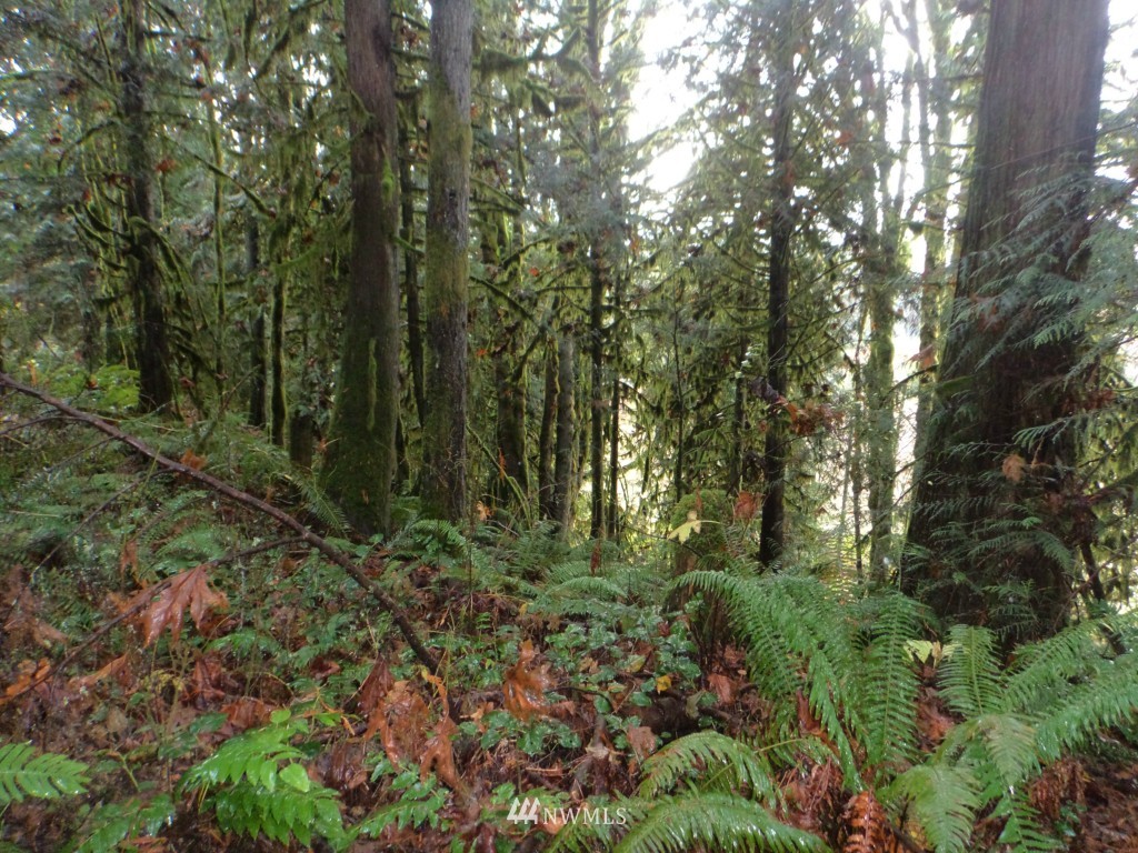 44925 Barrett Road Concrete, WA 98237 - Photo 18 of 22 Gallery Image 18
