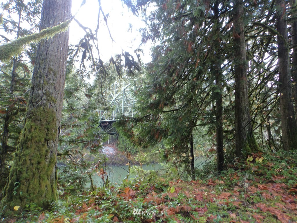 44925 Barrett Road Concrete, WA 98237 - Photo 20 of 22 Gallery Image 20
