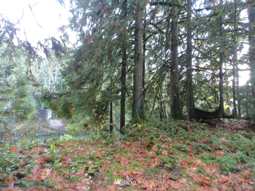 44925 Barrett Road Concrete, WA 98237 - Photo 21 of 22 Gallery Image 21