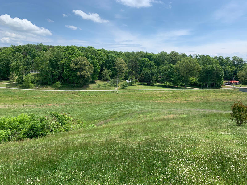 780 Greenlee Road Rutledge, TN 37861 - Photo 3 of 11 3
