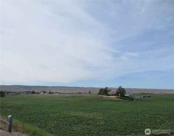 a view of a field with an ocean