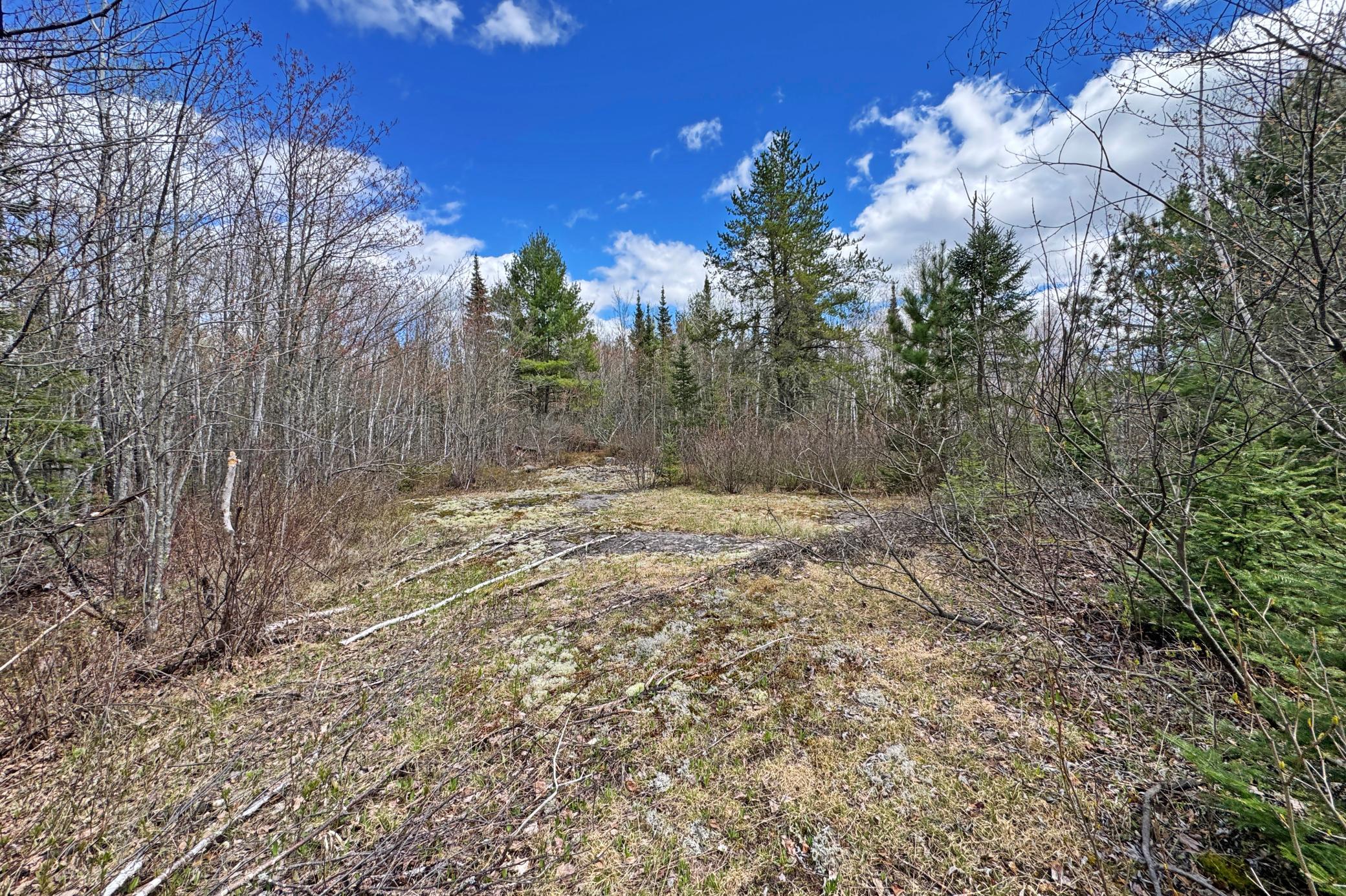 4268 Crane Lake Road Orr, MN 55771 - Photo 36 of 45