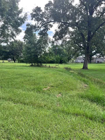 $11,000 | Tbd Monticello Street, Trinity, TX 75862