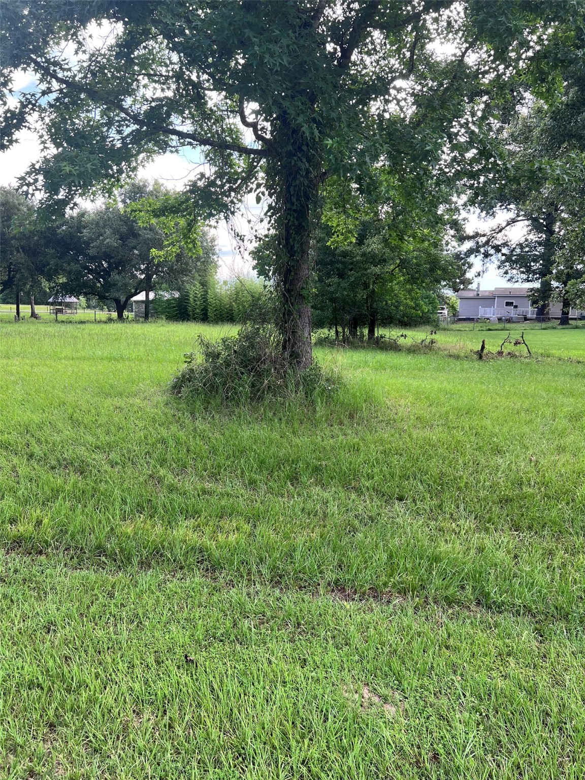 Tbd Monticello Street Trinity, TX 75862 - Photo 4 of 9 The Lot