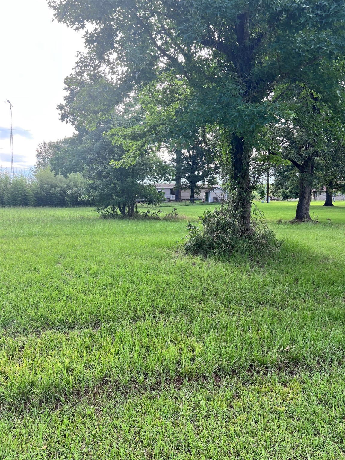 Tbd Monticello Street Trinity, TX 75862 - Photo 5 of 9 The Lot