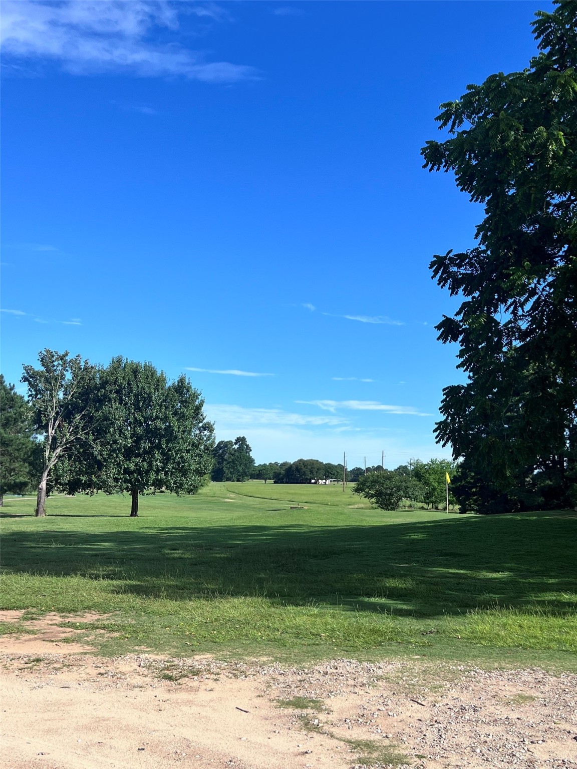 Tbd Monticello Street Trinity, TX 75862 - Photo 7 of 9 Just Enough Holes to Keep Your Practice Going