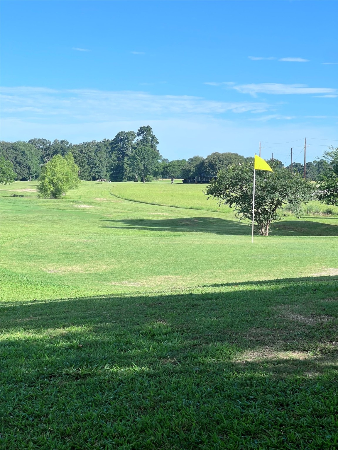 Tbd Monticello Street Trinity, TX 75862 - Photo 8 of 9 Nice