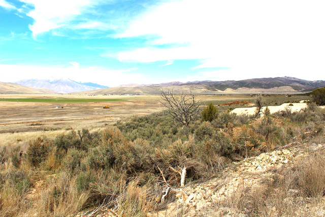 North W, Unit 93 Fairview, UT 84629 - Photo 11 of 23