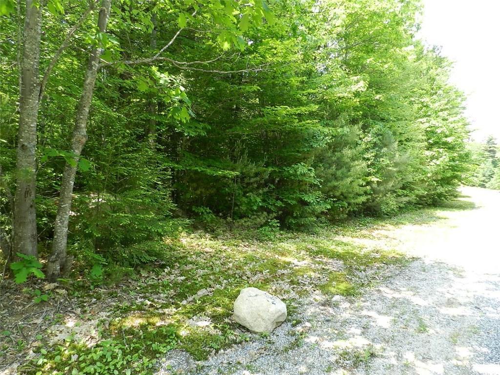 26 Ridgewood Terrace Otisfield, ME 04270 - Photo 4 of 25 The lot that is for sale, wooded and...