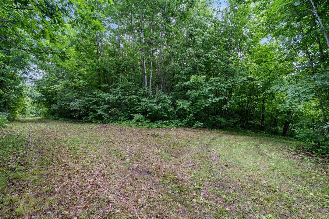 4608 Highway 371 Hackensack, MN 56452 - Photo 40 of 71