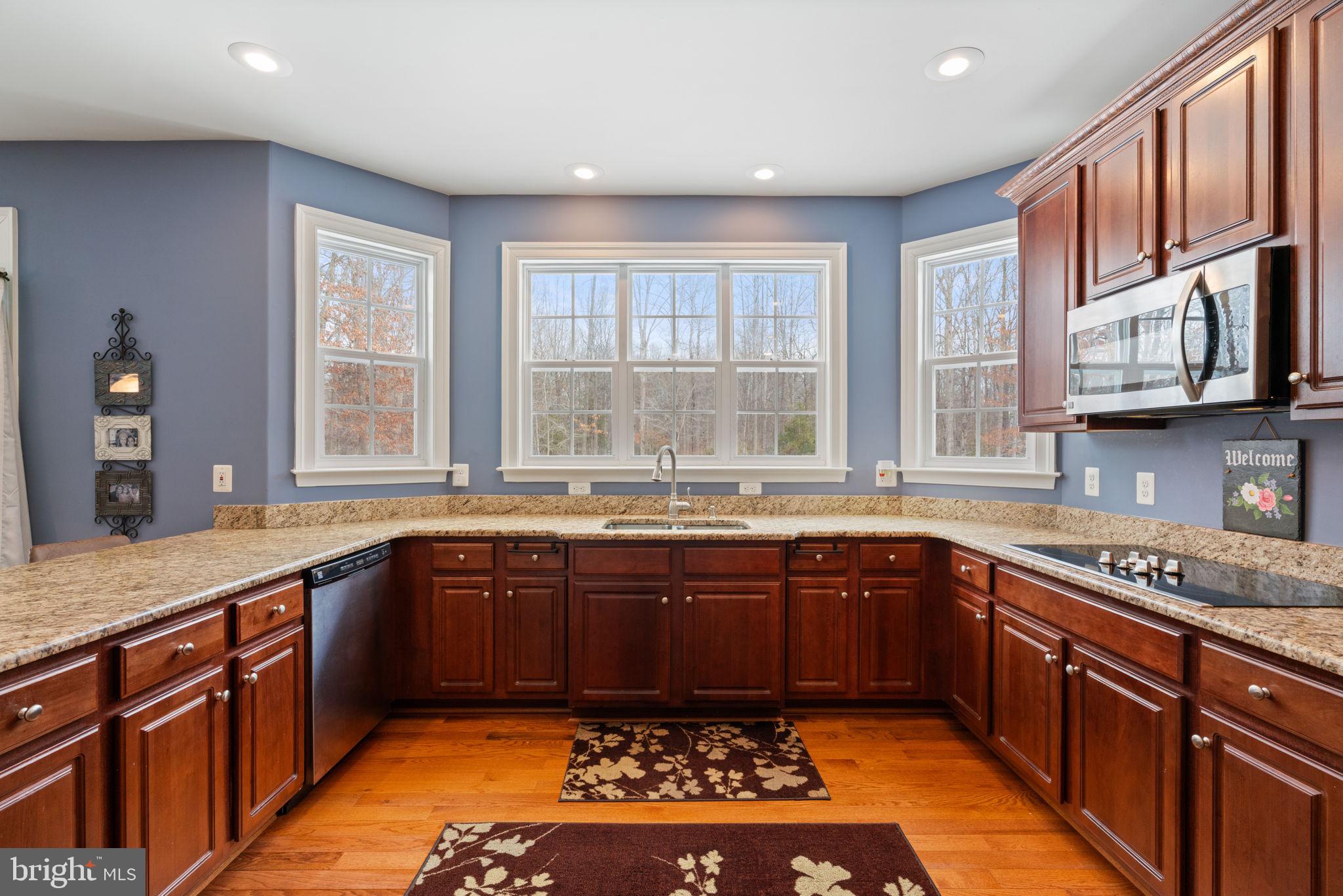 2816 Mountain View Road Stafford, VA 22556 - Photo 17 of 49 View overlooking the Backyard