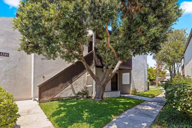 a tree in front of a white house