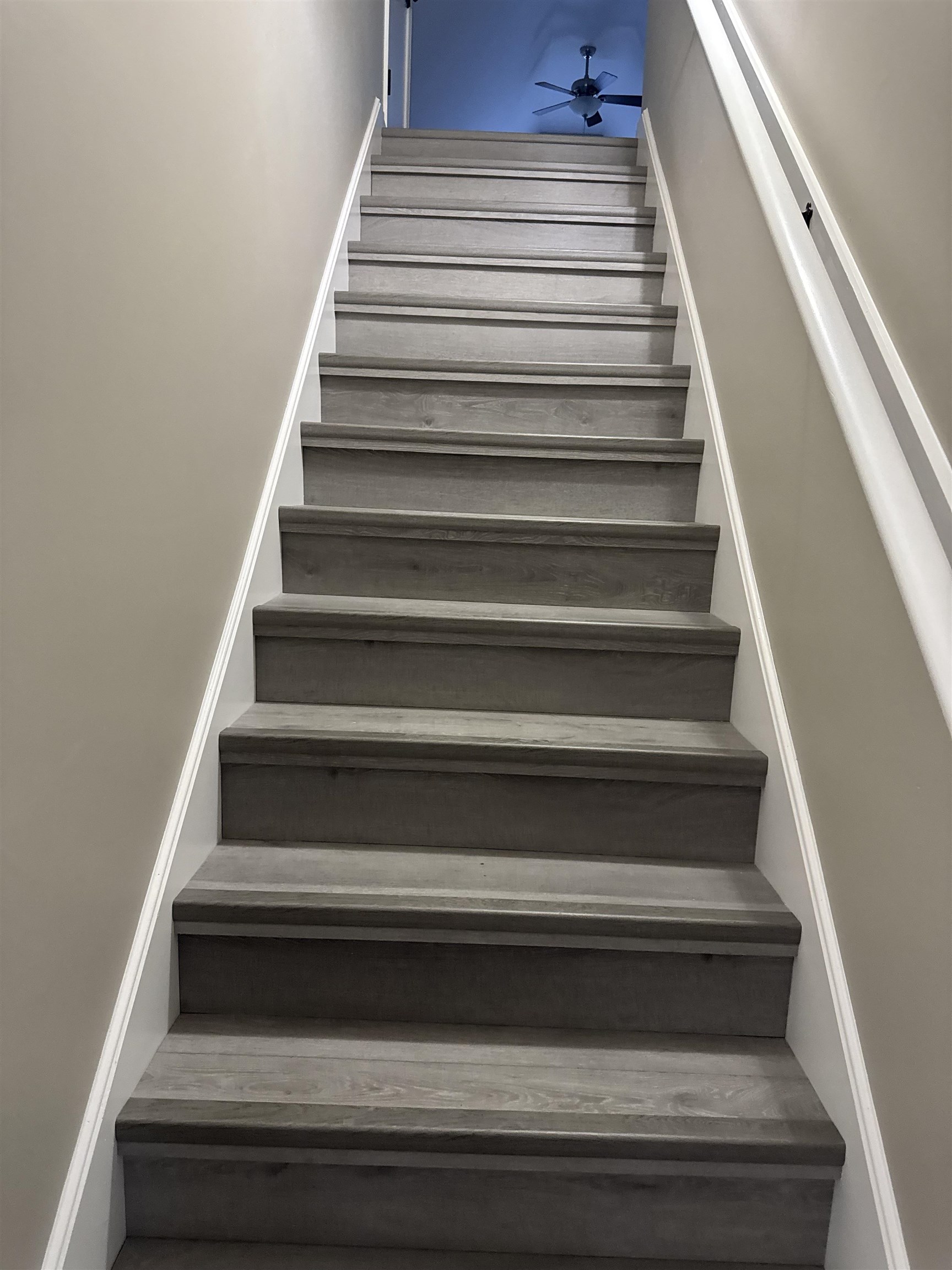 6333 Daybreak Drive Bartlett, TN 38135 - Photo 18 of 21 a view of entryway