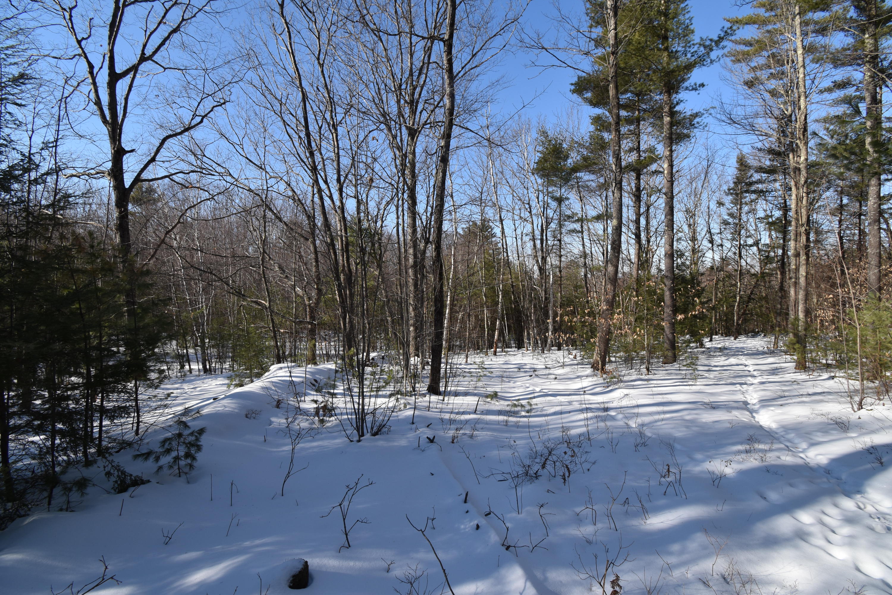 360 Watson Heights Road Kents Hill, ME 04349 - Photo 64 of 77 DSC_0342