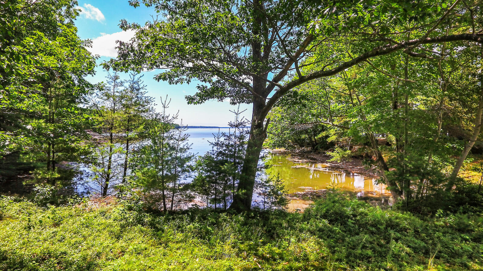0 Ferry Road Westport Island, ME 04578 - Photo 3 of 26 02_DJI_0124_copy_DxO_mls