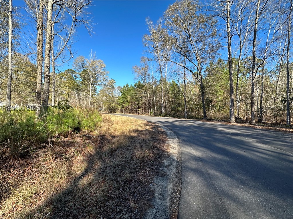 0 Gooding Street Varnville, SC 29944 - Photo 11 of 11