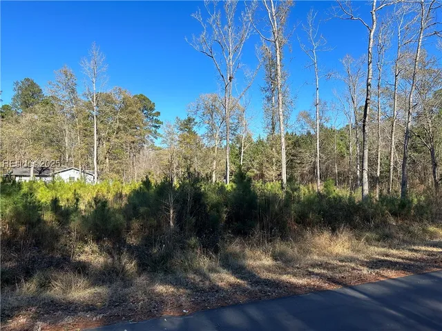 $22,500 | 0 Gooding Street, Varnville, SC 29944