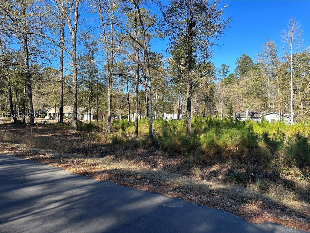 0 Gooding Street Varnville, SC 29944 - Photo 5 of 11