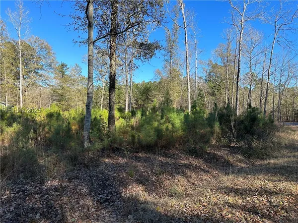 $22,500 | 0 Gooding Street, Varnville, SC 29944