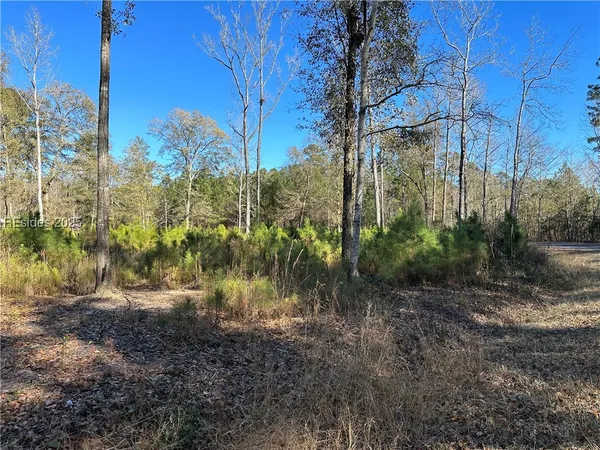 $22,500 | 0 Gooding Street, Varnville, SC 29944