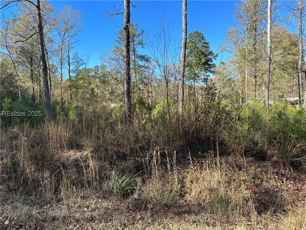 $22,500 | 0 Gooding Street, Varnville, SC 29944