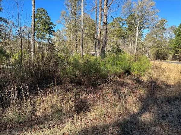 $22,500 | 0 Gooding Street, Varnville, SC 29944