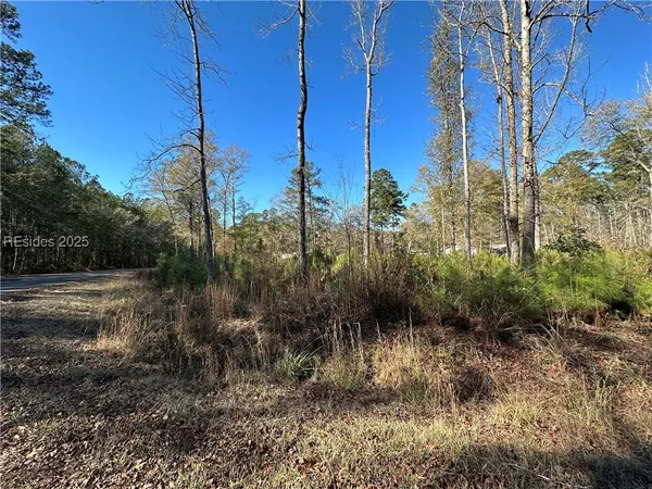 $22,500 | 0 Gooding Street, Varnville, SC 29944