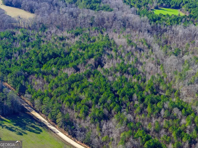 $179,000 | Tract 1 Dunbar School Road, Williamson, GA 30292