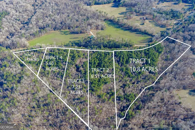 $179,000 | Tract 1 Dunbar School Road, Williamson, GA 30292