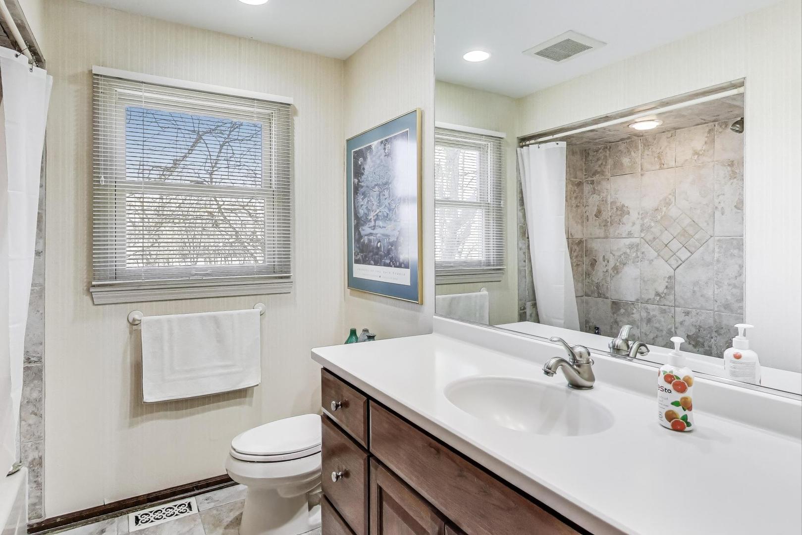 2207 North Brighton Place Arlington Heights, IL 60004 - Photo 24 of 37 a bathroom with a sink mirror toilet and next to a window