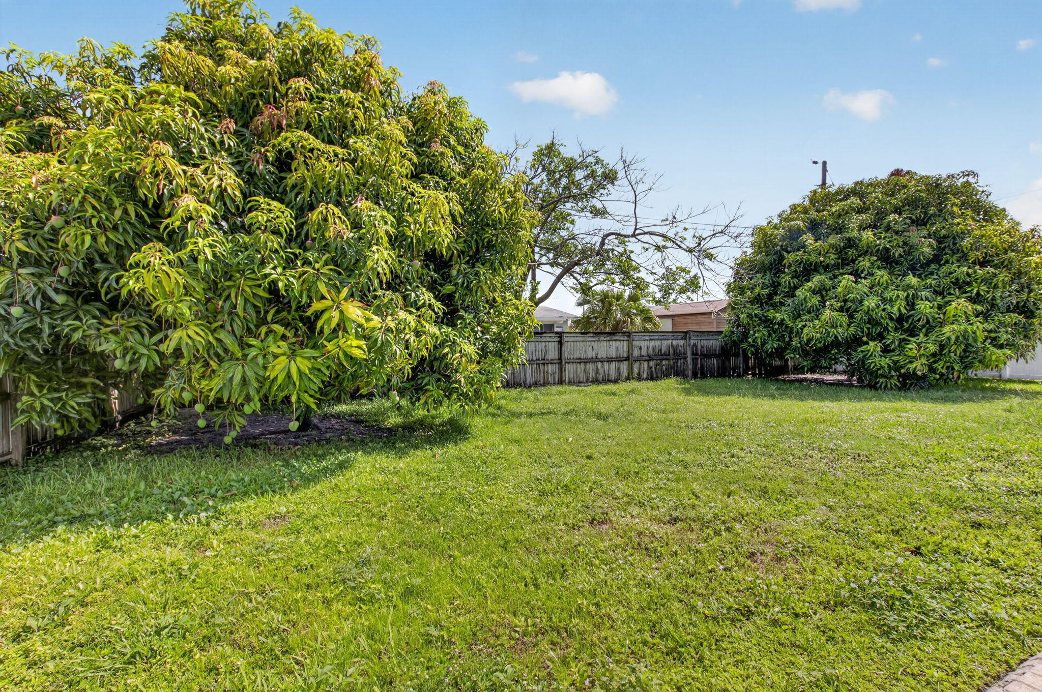 115 Northwest 7th Street Boca Raton, FL 33432 - Photo 14 of 58 14-web-or-mls-DSC_4503