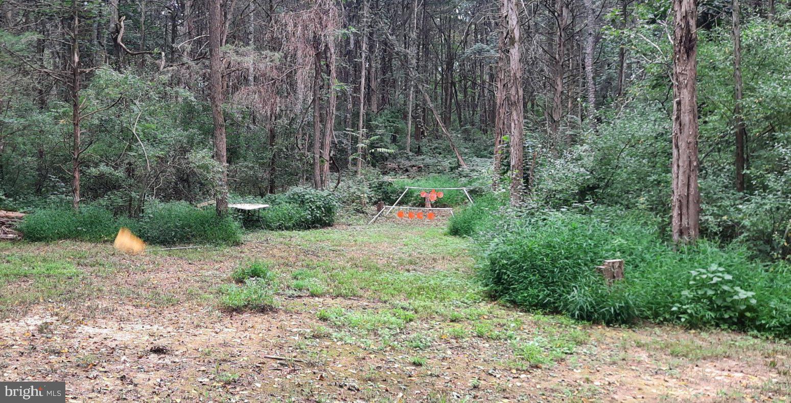 1272 Battlefield Road Strasburg, VA 22657 - Photo 31 of 49 Pistol target area