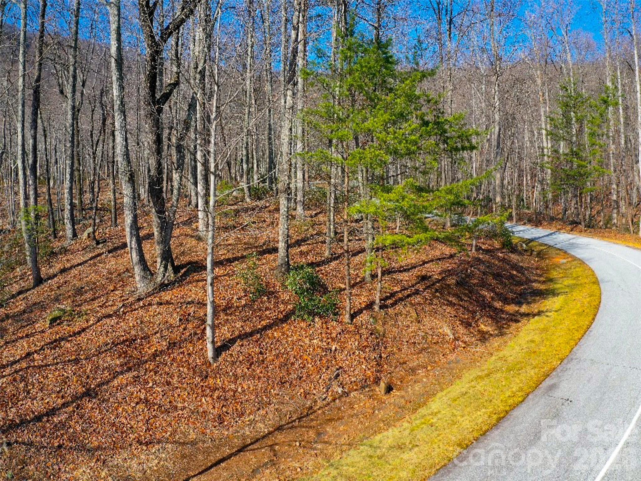 220 Chesterfield Drive Mill Spring, NC 28756 - Photo 25 of 34 a view of swimming pool