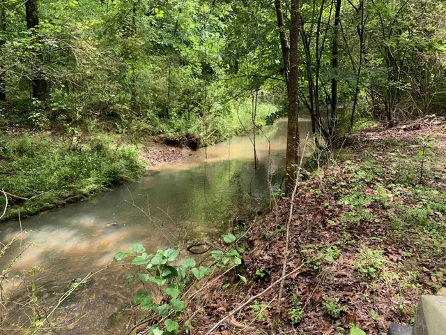 a view of outdoor space