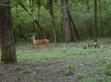 a close up of a sink