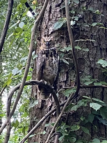 $724,900 | 301 Walnut Creek Road, Killen, AL 35645