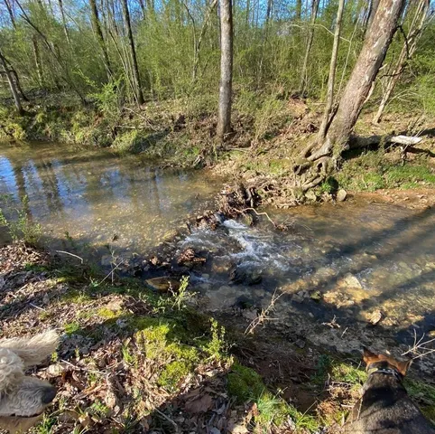 a view of lake with green space