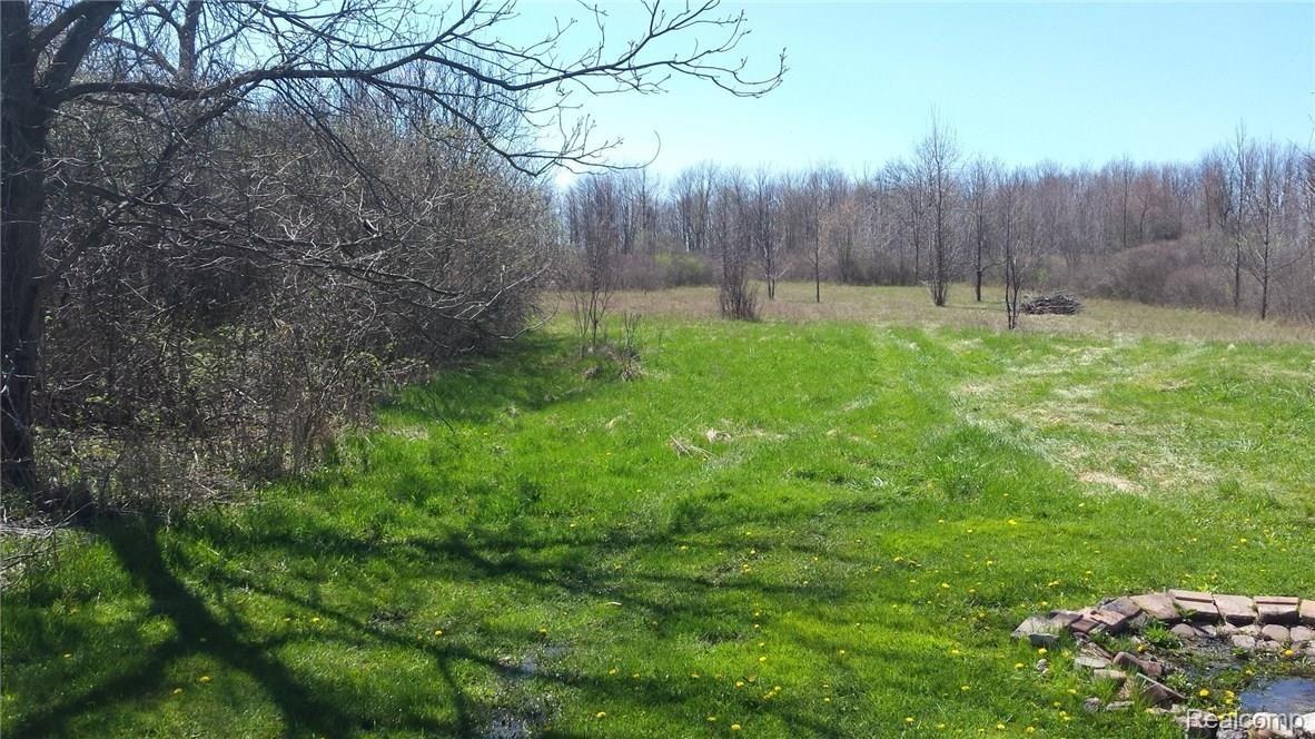 8317 Jordan Road Yale, MI 48097 - Photo 25 of 28 This is another view of the field.
