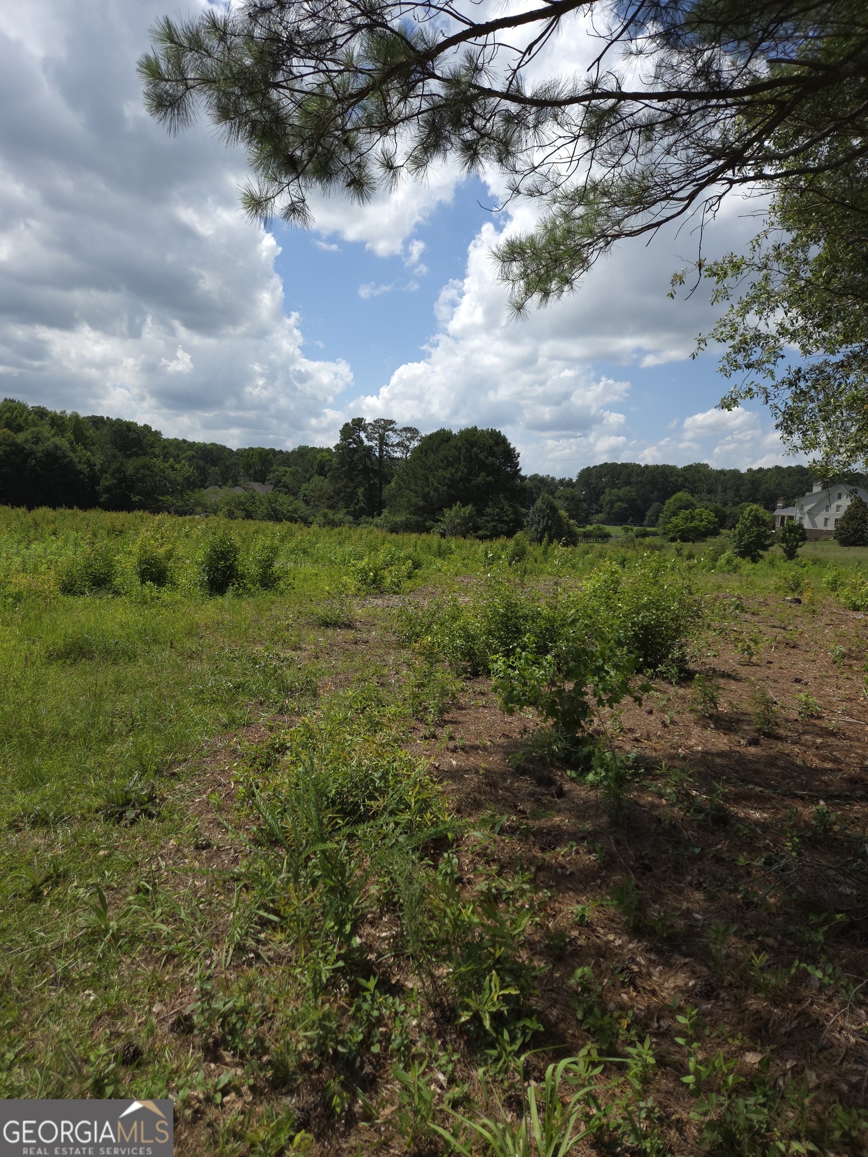 0 Trickum Creek Road Tyrone, GA 30290 - Photo 2 of 9
