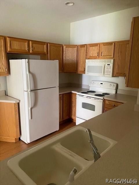 1626 West Spring Meadow Loop Lecanto, FL 34461 - Photo 3 of 19