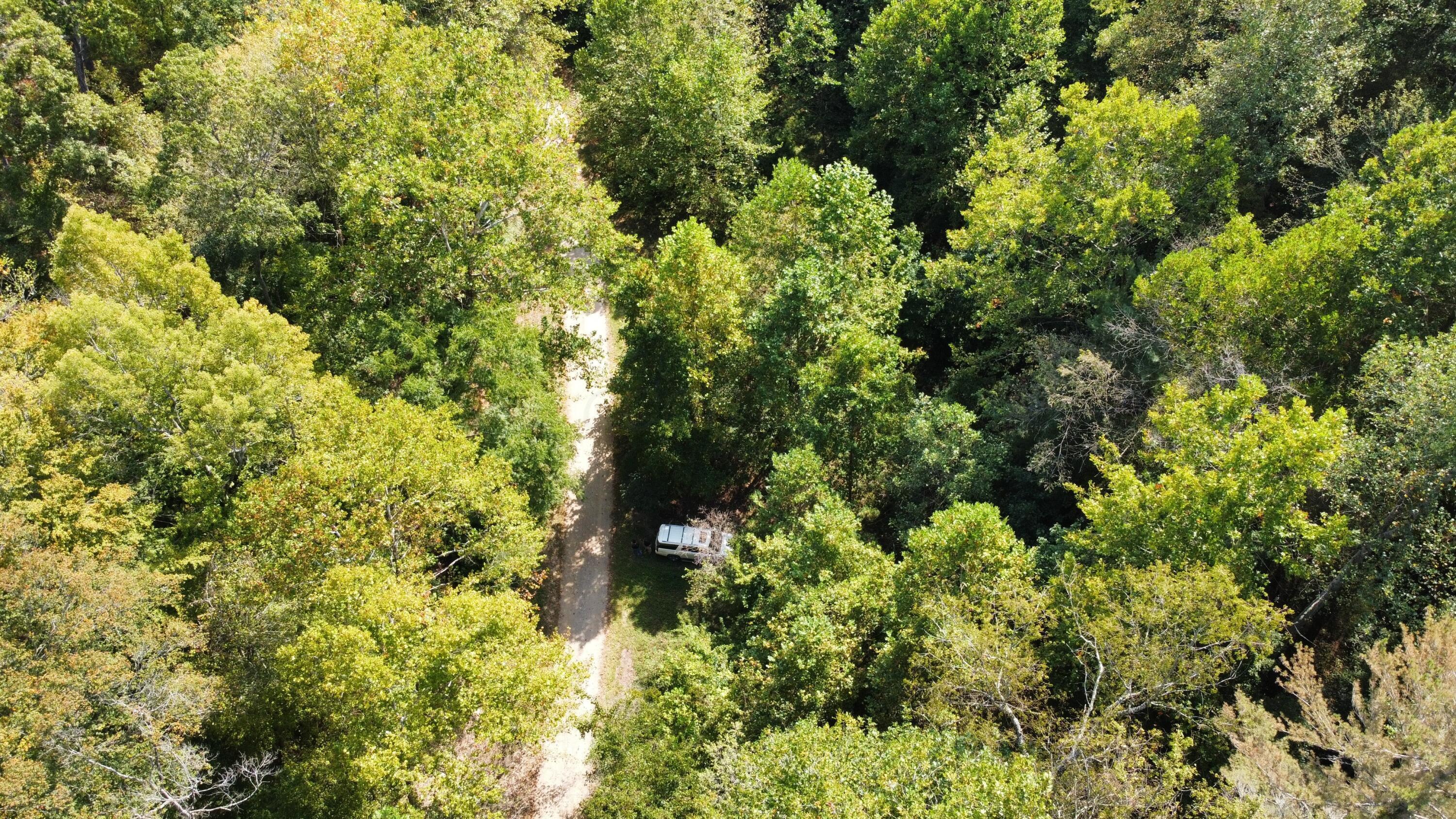 0 Beech Fork Road Peebles, OH 45660 - Photo 29 of 31 dji_export_1757780318124