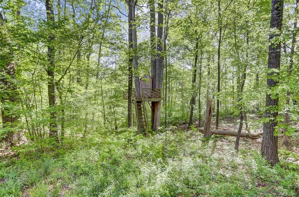 9824 Thornridge Road Indian Trail, NC 28079 - Photo 48 of 48