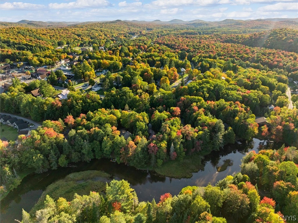 115 Riverside Drive East Webb, NY 13420 - Photo 15 of 50 Gallery Image 15