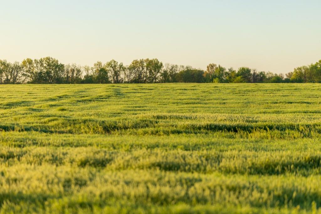 South Buford Road Harrisonville, MO 64701 - Photo 13 of 17