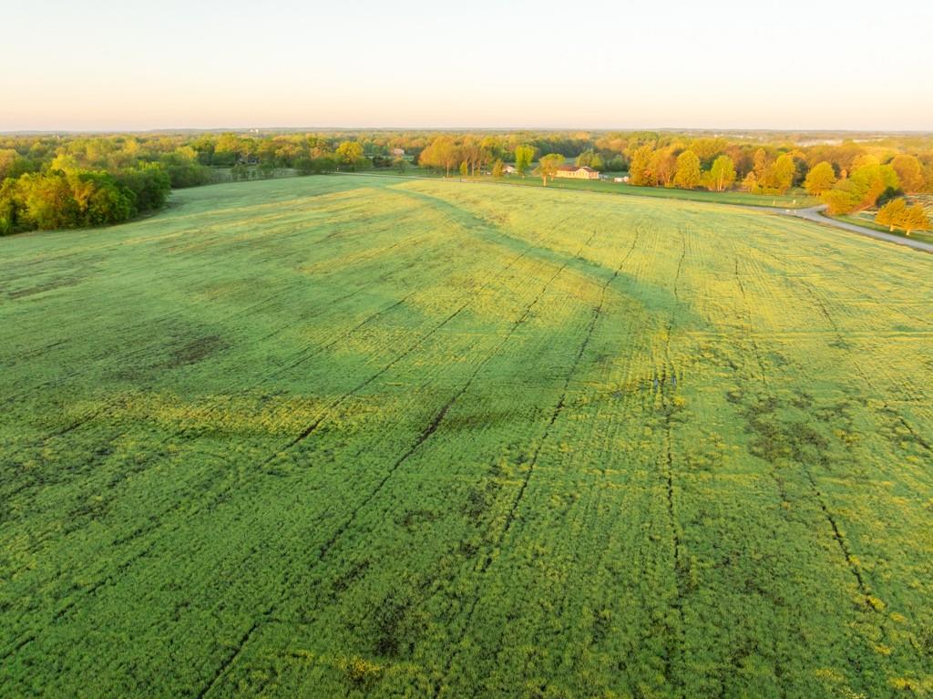 South Buford Road Harrisonville, MO 64701 - Photo 16 of 17