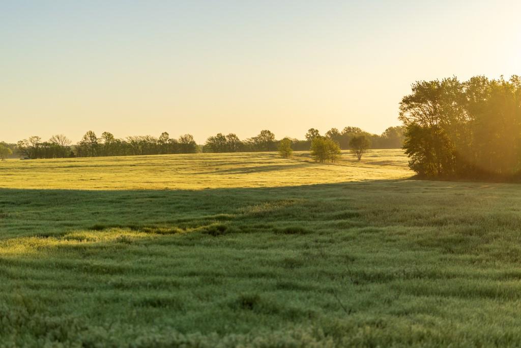South Buford Road Harrisonville, MO 64701 - Photo 6 of 17