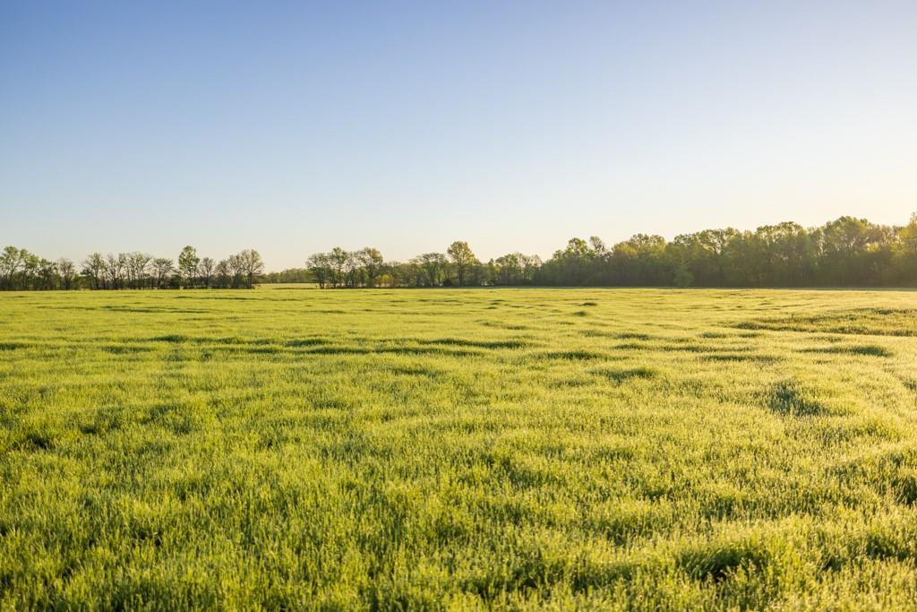 South Buford Road Harrisonville, MO 64701 - Photo 10 of 17
