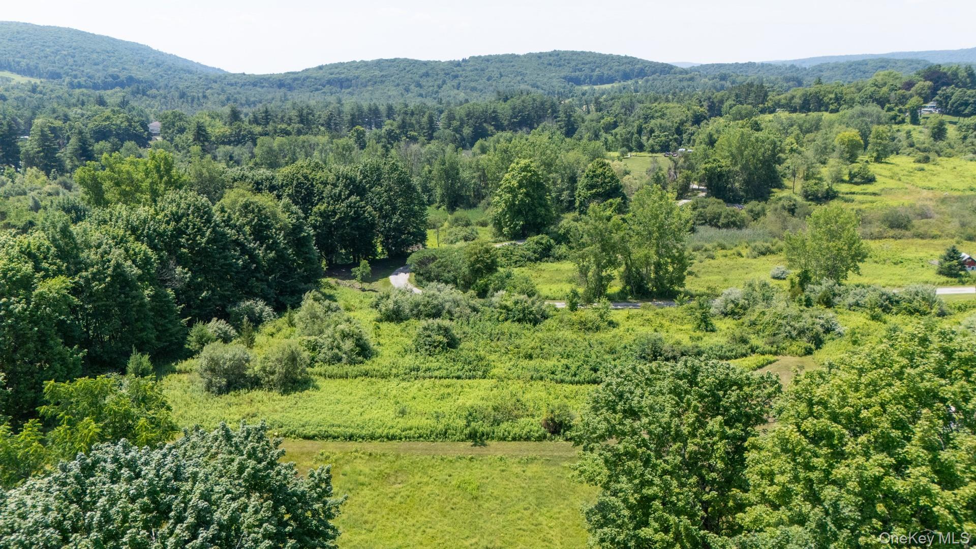 90 State Line Road Millerton, NY 12546 - Photo 7 of 31