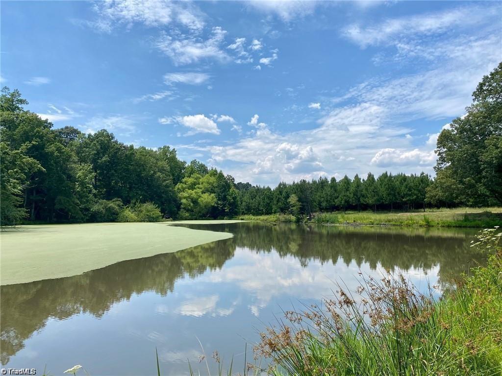 2008 Neelley Road Pleasant Garden, NC 27313 - Photo 2 of 18