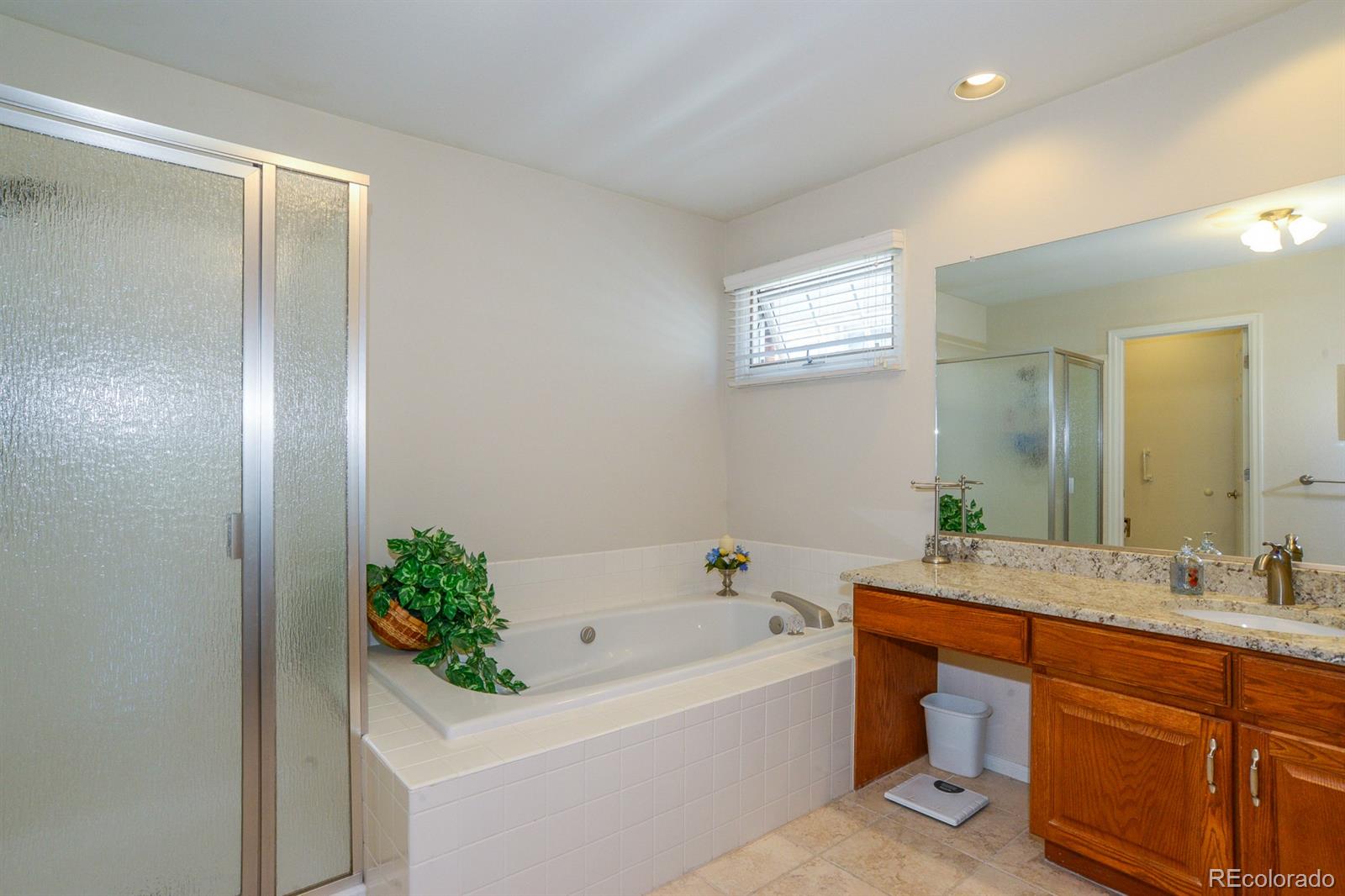 9027 Greenspointe Lane Highlands Ranch, CO 80130 - Photo 17 of 32